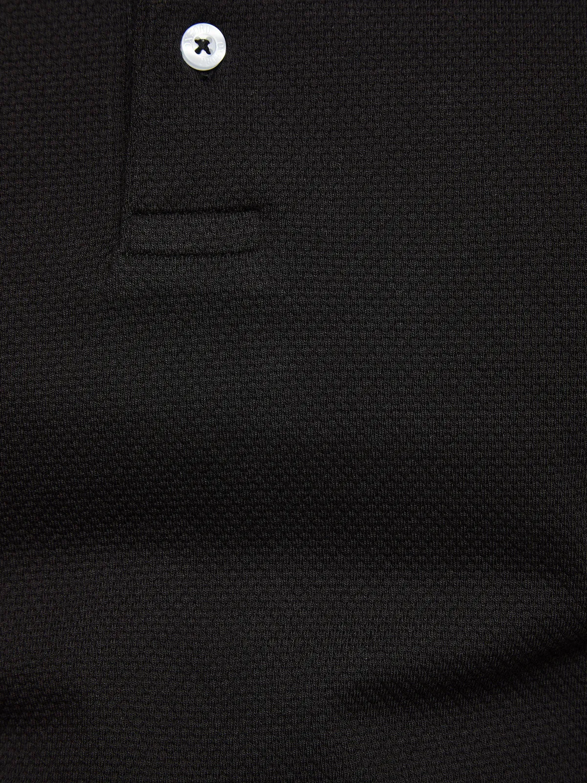 Austin Polo