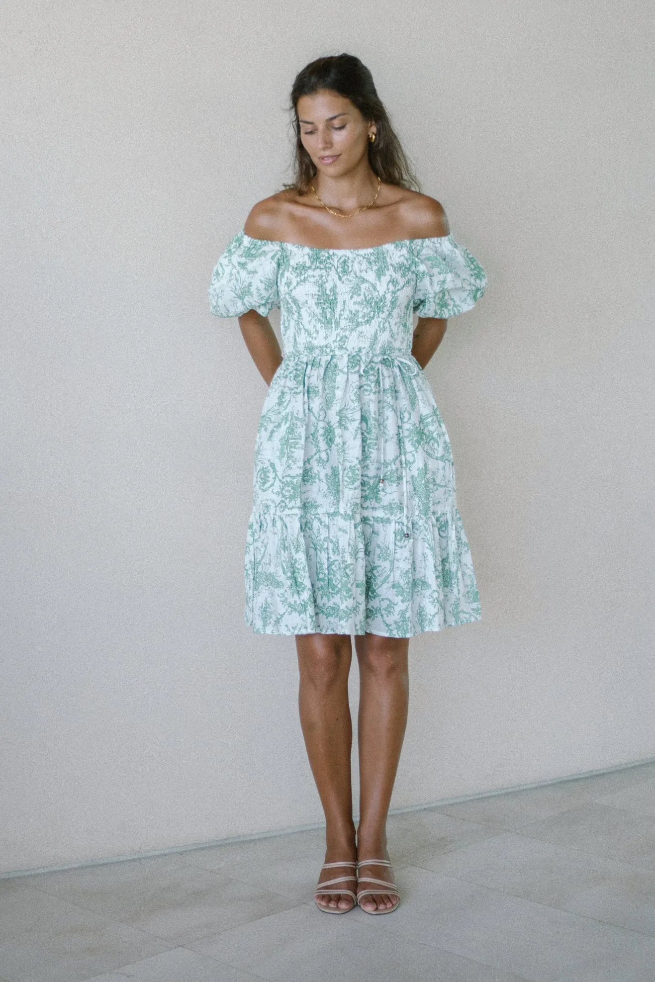 Avalira Green Floral Toile Puff Sleeve Mini Dress
