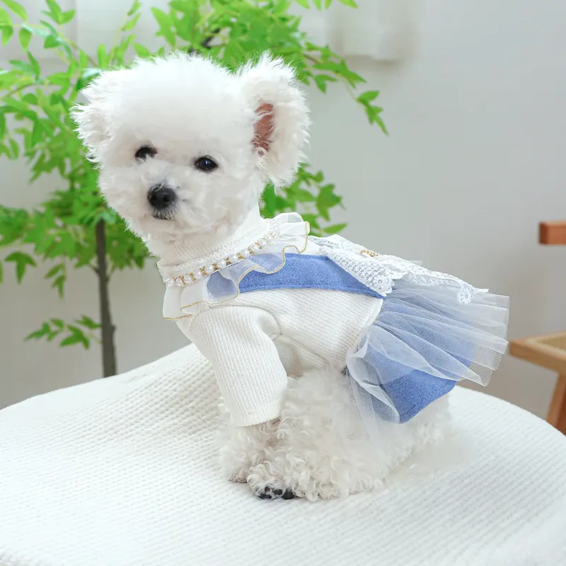 Chabby Chic Victorian Dog Dress
