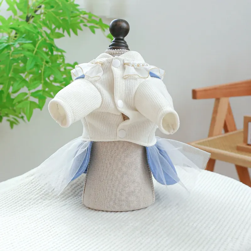 Chabby Chic Victorian Dog Dress