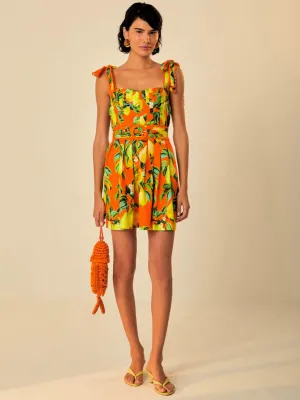 Orange Chic Pears Mini Dress
