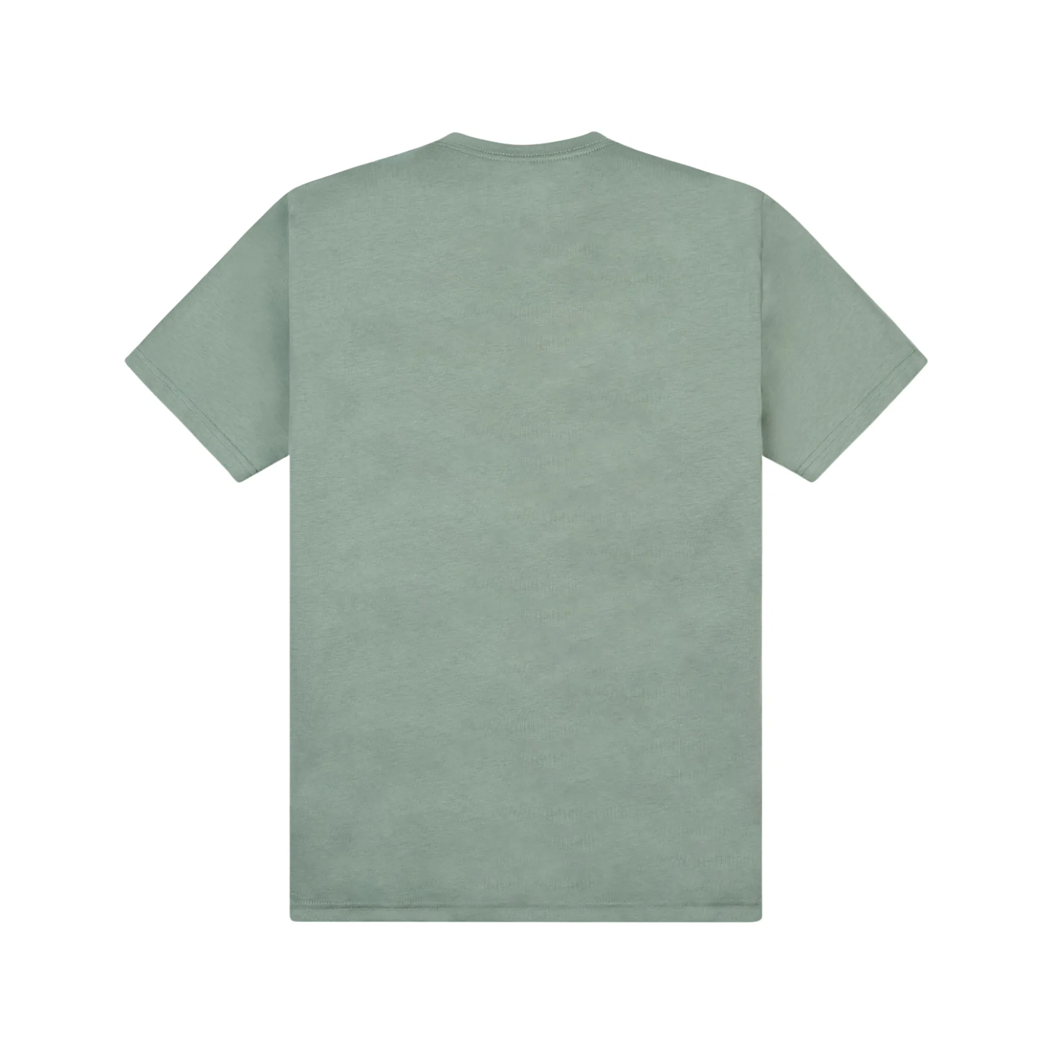 Paper Planes Colorful Reflection Tee (Iceberg Green)